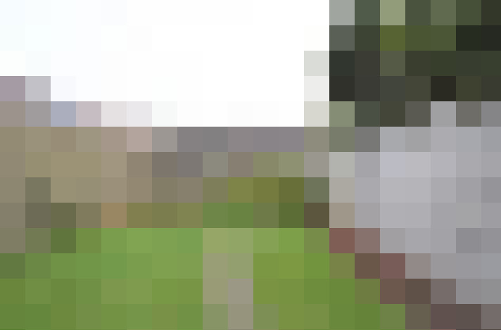  / #14