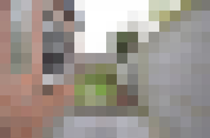  / #15