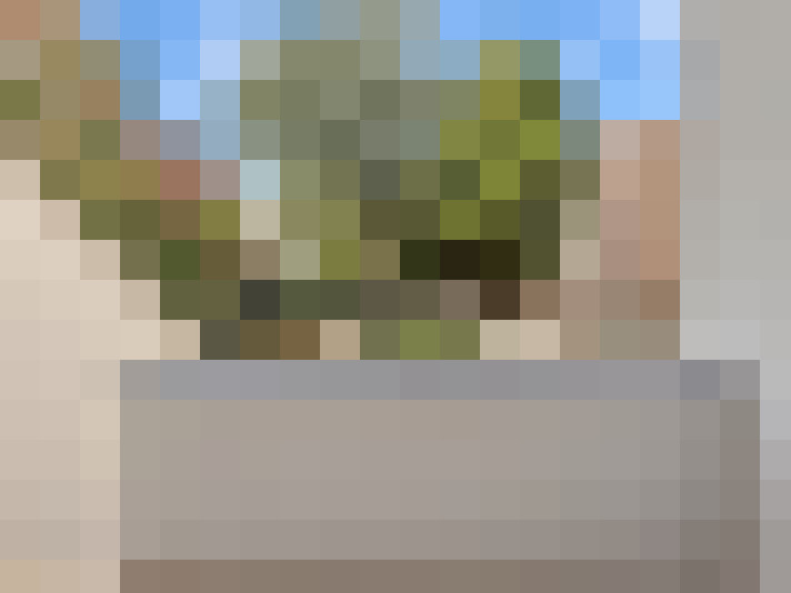  / #13