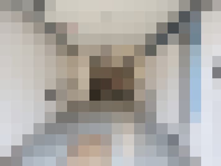  / #15
