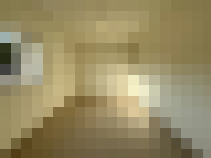 / #11