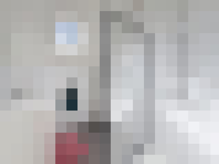  / #11