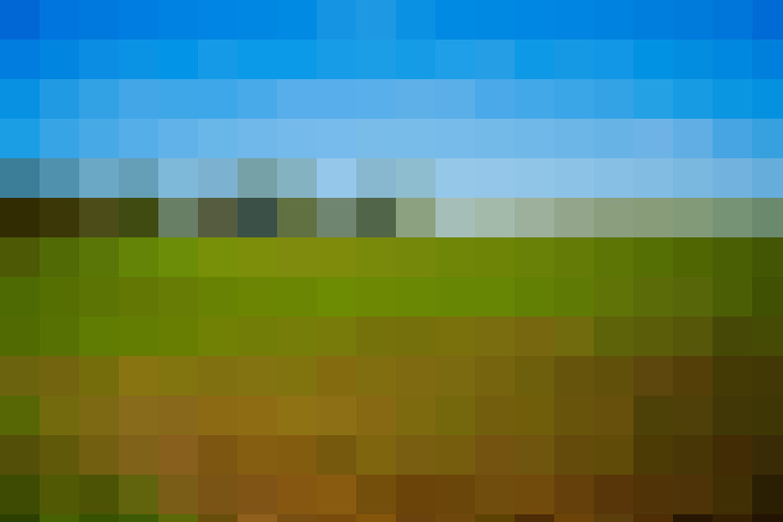  / #7