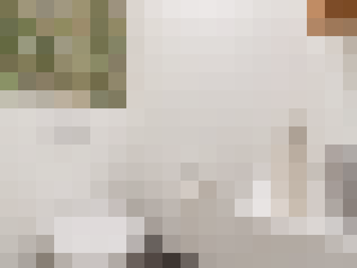  / #20