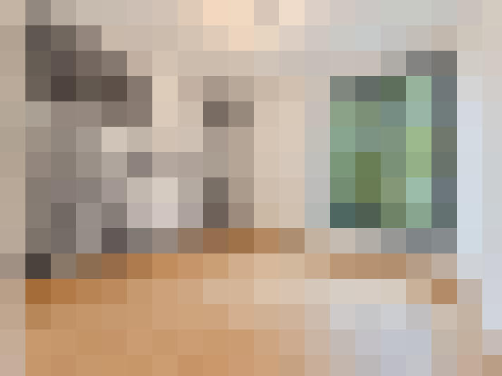  / #14