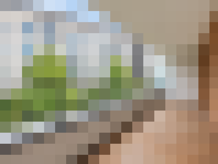  / #7
