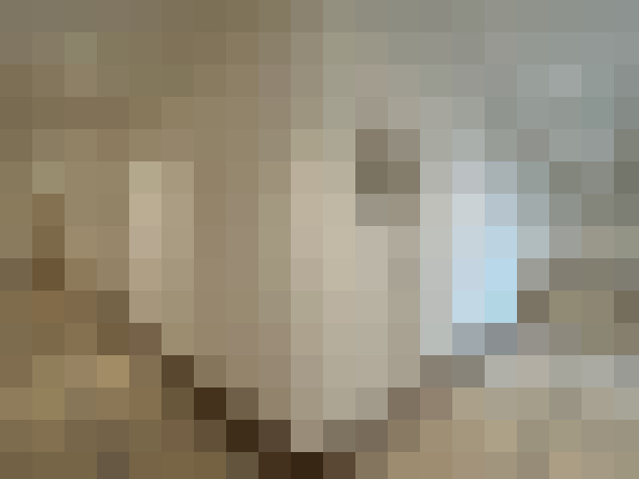  / #8