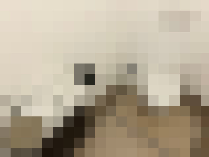  / #16