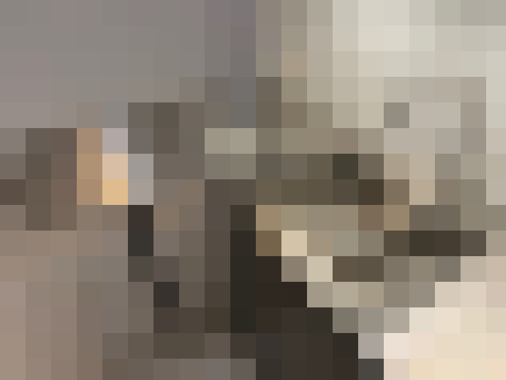  / #21