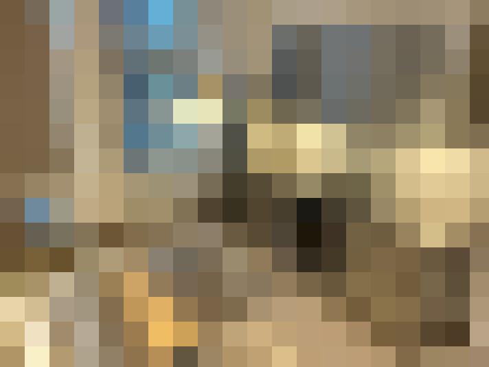  / #19