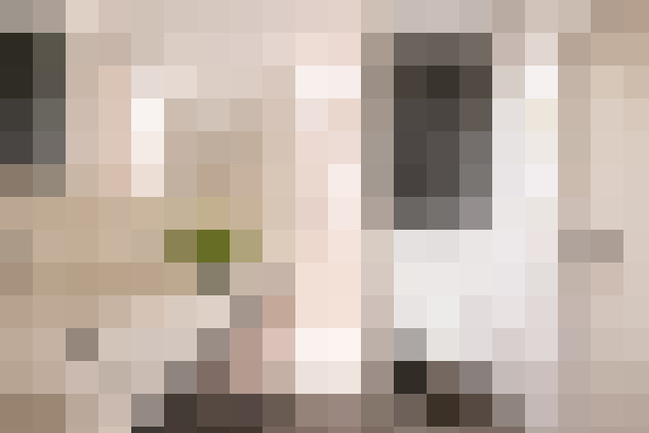  / #15