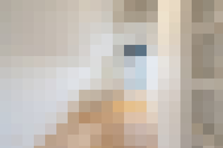  / #18
