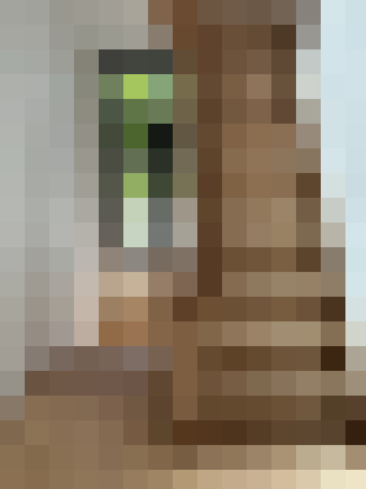  / #15