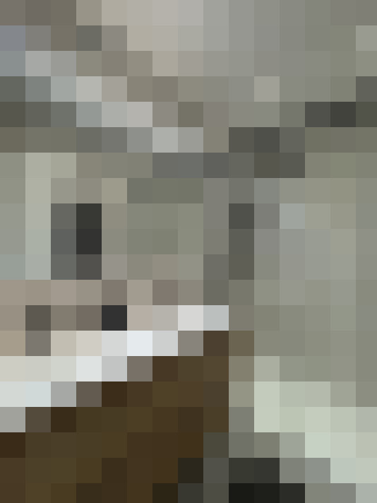  / #15