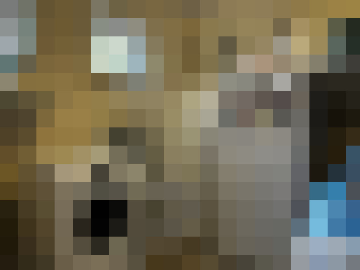  / #14