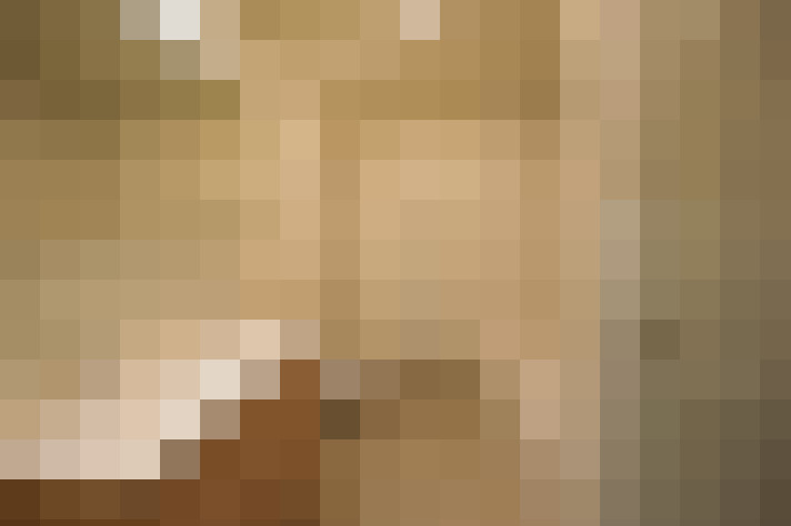  / #11