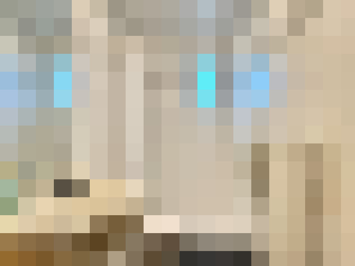  / #14