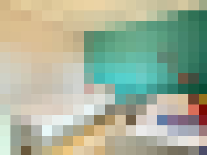  / #20