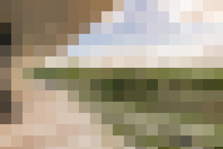  / #14