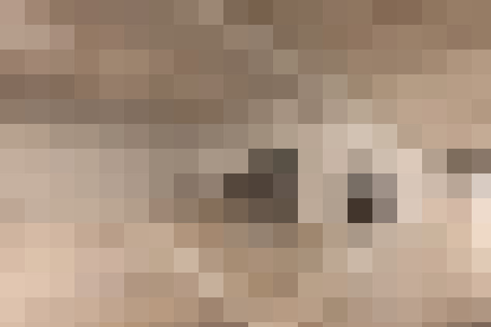  / #16