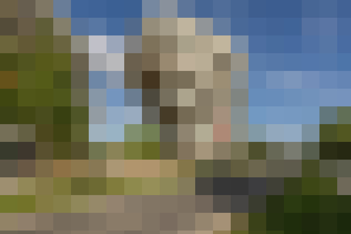  / #18
