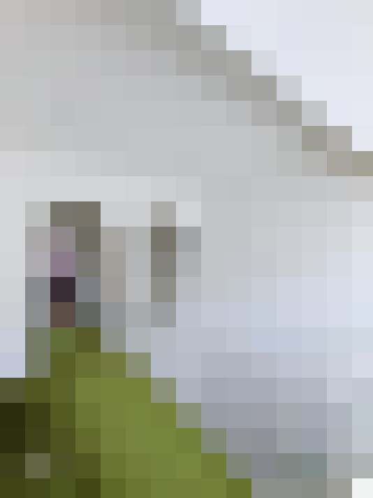  / #14