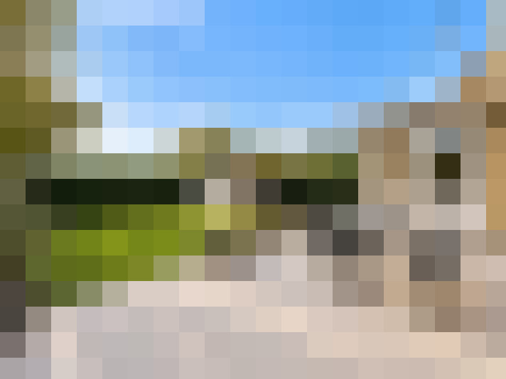  / #20