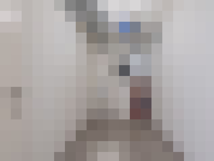  / #12