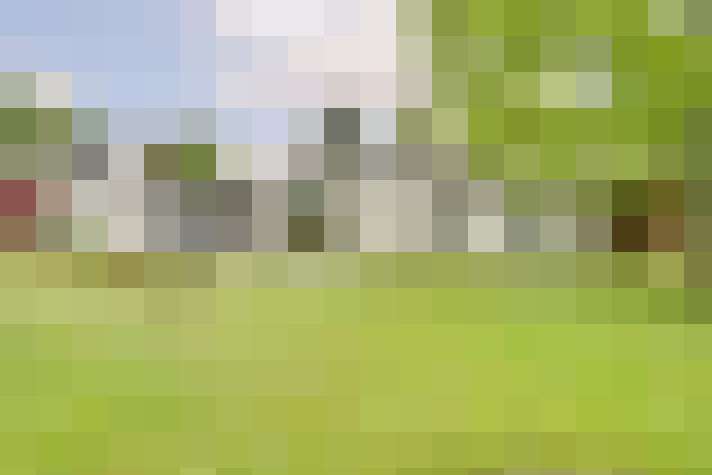  / #17