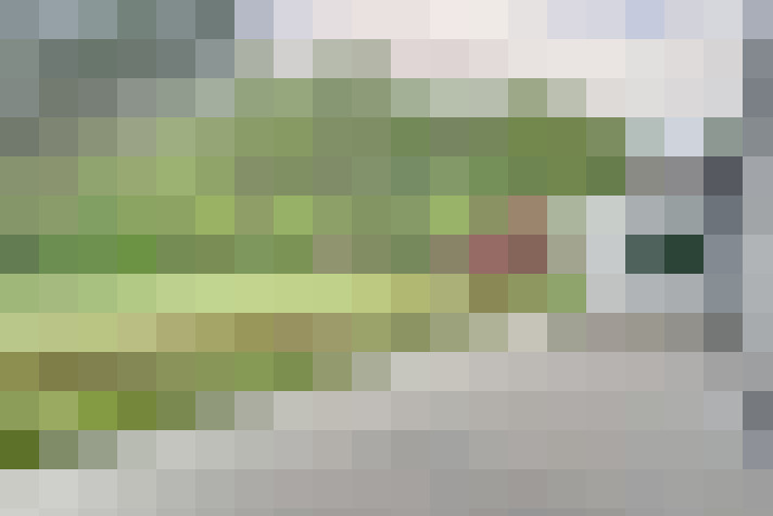  / #18