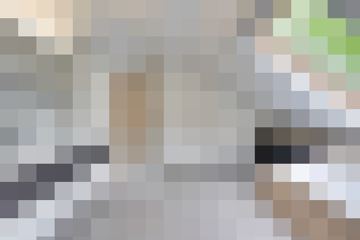  / #15