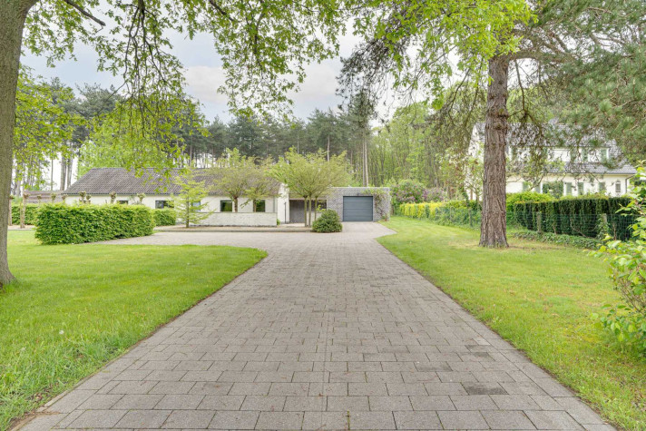 Sieh dir Foto 1/18 des house in Diest an