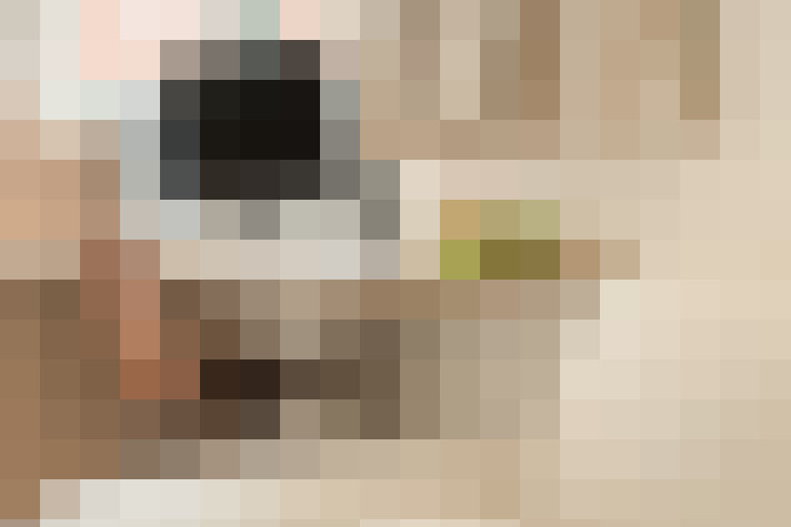  / #21
