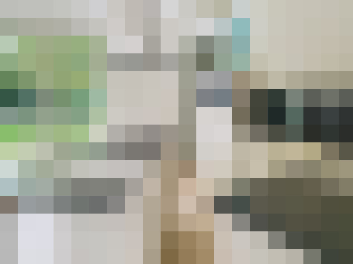  / #14