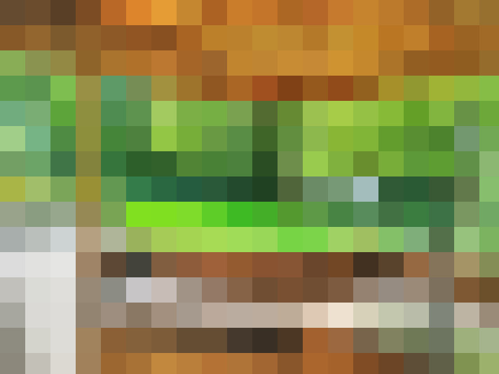  / #7