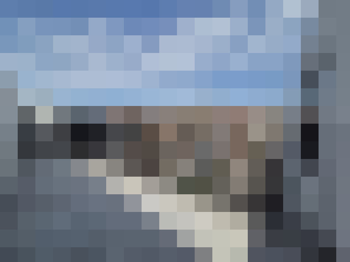  / #14