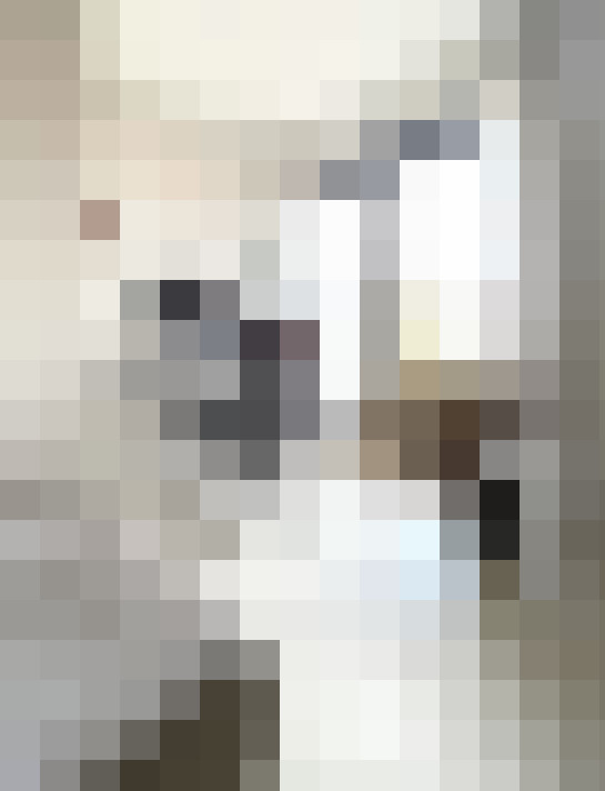  / #12
