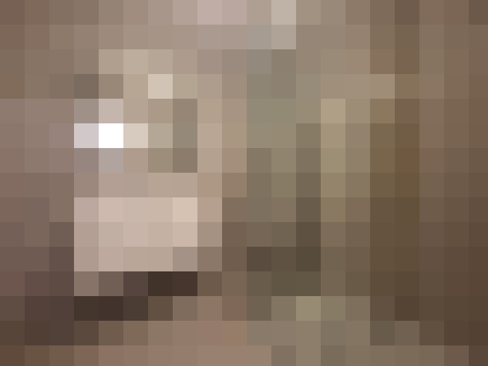  / #16