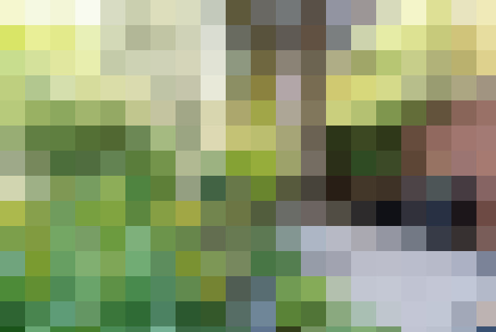 / #17