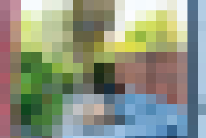  / #16