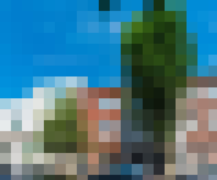  / #19