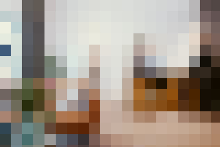  / #20
