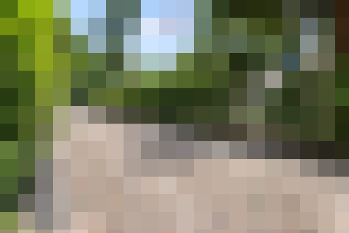  / #15