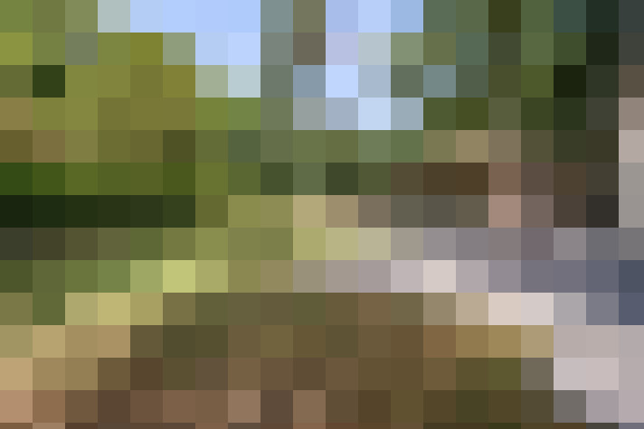  / #17