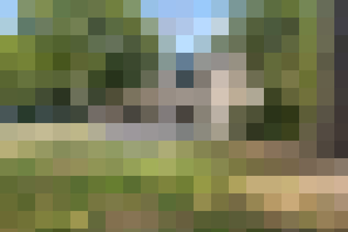  / #18