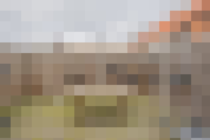 / #16
