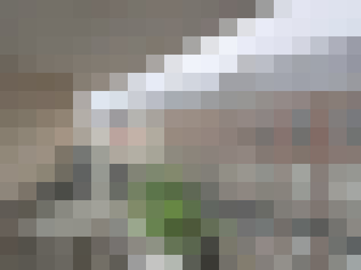  / #11