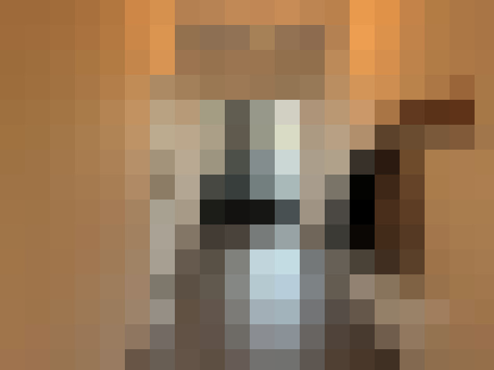  / #23