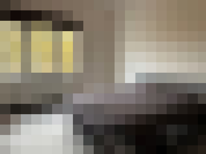  / #17
