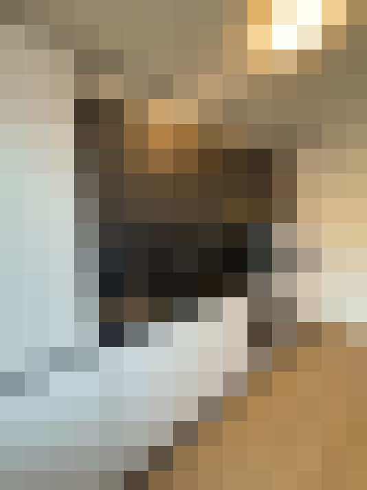  / #14